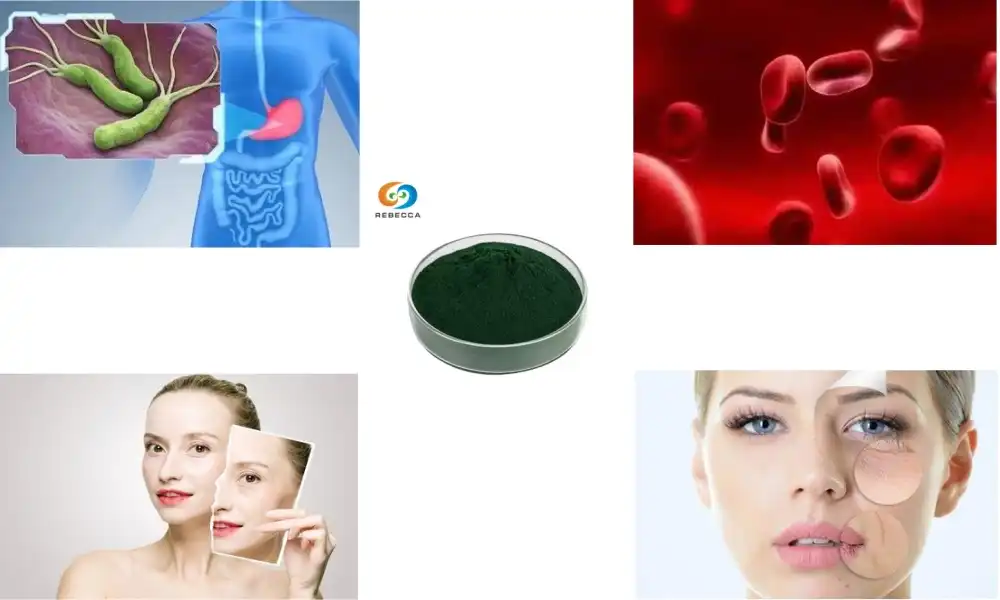 What does chlorophyll powder do?